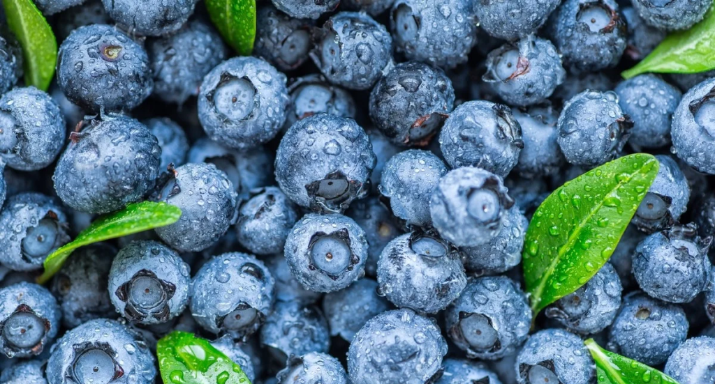 Blueberries