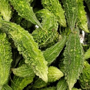 KARELA INDIAN