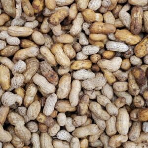 PEANUTS FRESH