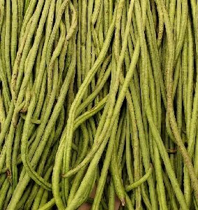 LONG BEANS GREEN