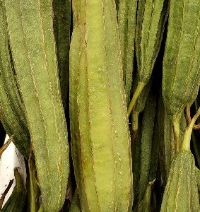 OKRA CHINESE