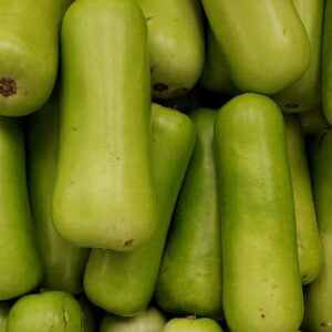 LONG SQUASH REG