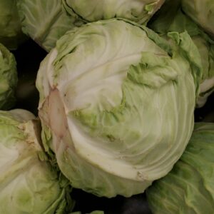 CABBAGE