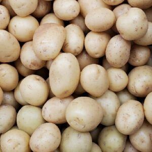 POTATO WHITE