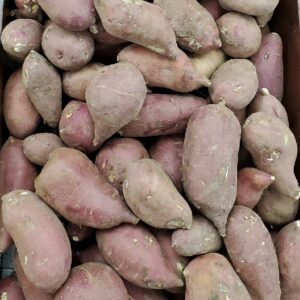 POTATO SWEET