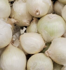 ONION WHITE LOOSE