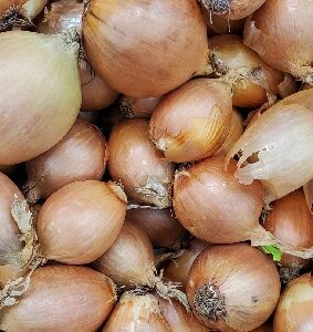 ONION YELOW LOOSE
