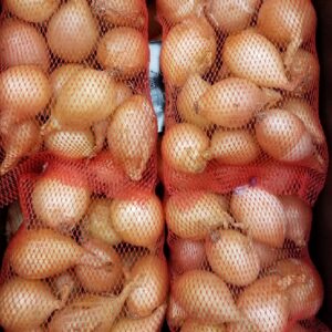 ONION PEARL GOLDEN
