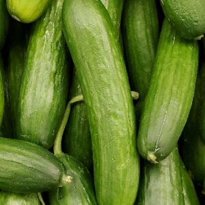 CUCUMBER INDIAN