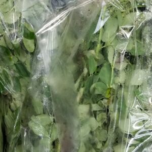 DRUMSTICKS LEAVES