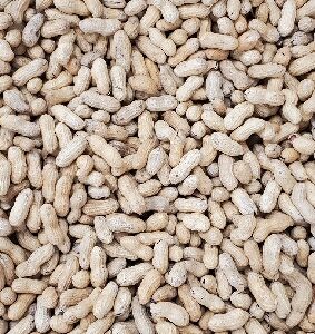 ROASTED PEANUT