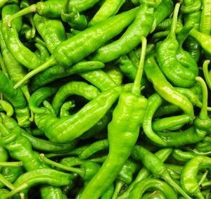 CHILLI LONG HOT