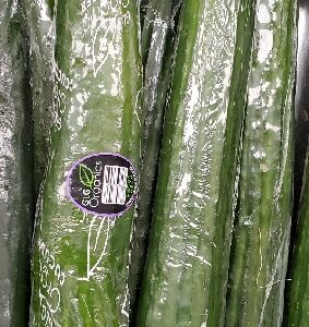 CUCUMBER SEEDLESS