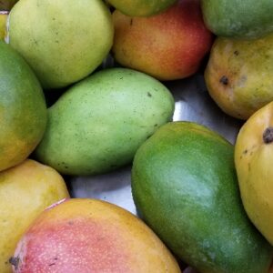 HADDEN MANGO