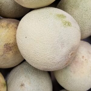 CANTALOPE