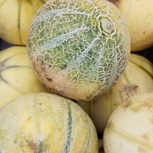 DESI CANTALOUPE