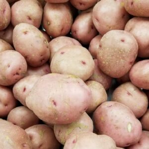 RED POTATO