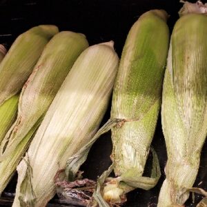 CORN YELLOW
