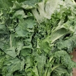 KALE LEAVES