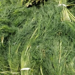 DILL LEAVES
