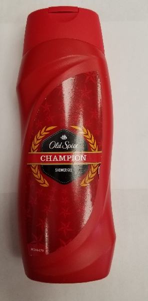 CHAMPION