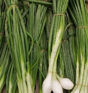 GREEN ONION