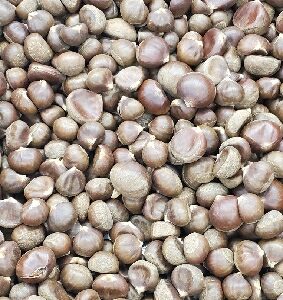 CHESTNUT