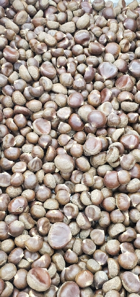 CHESTNUT
