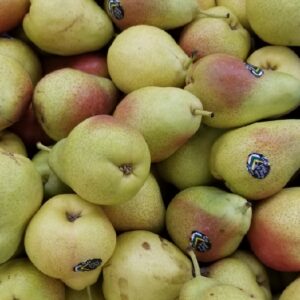 PEARS RED