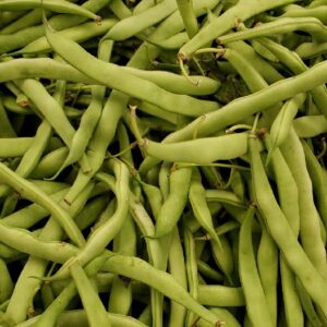 FLAT BEANS