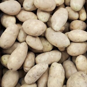 LOOSE IDAHO POTATO