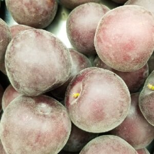 RED APRICOT