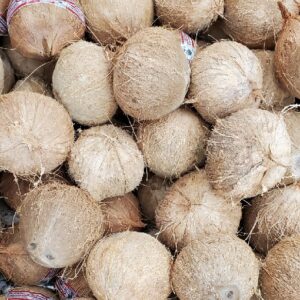 FANCY COCONUT