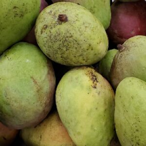 GREEN MANGO MEDIUM