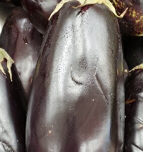 BIG EGGPLANT