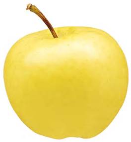 APPLE LADY